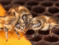 3912_Kapitalizm_lyubit_konkurentsiyu