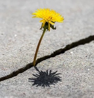 3428_Beton