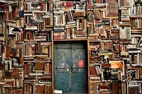 3546