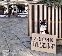3565_A_ty_sam-to_porodistyy