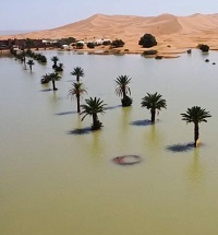 3590_Sahara