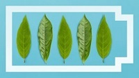 3780_Rastvorimye_probioticheskie_biobatarei