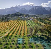 3862_Regenerativnoe_selskoe_hozyaystvo_-_maynstrim